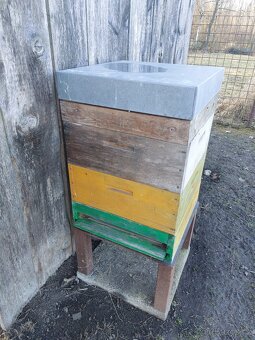 Prodám vcelstvo - 2