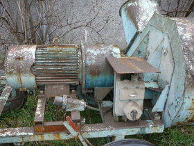 Senomet, Žralok - 2