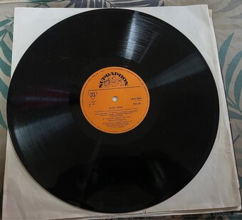 2kusy Zlatá Zebra LP - 2