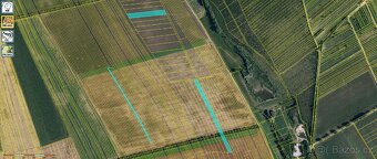 Prodej Orné půdy v kú Prušánky 3,3ha - 2