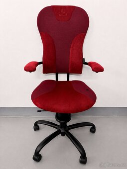 Kancelářská židle Spinalis Spider - 2