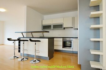 Pronájem velkého bytu s terasou, 2x park,stání, 2x sklep - 2