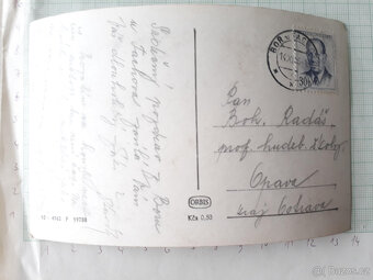 Chalupa, statek, hora, les - čb pohlednice - 2