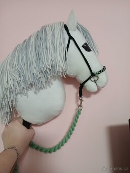 Hobby horse - 2