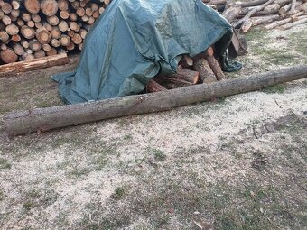 Prodám lidové dřevo - 2