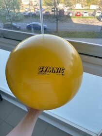 Gymnastický míč 45cm - 2
