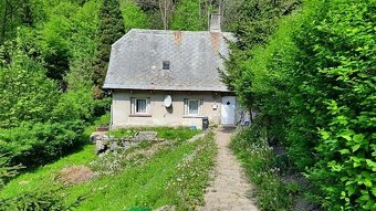 Rodinný dům či dva apartmány - Desná - 2