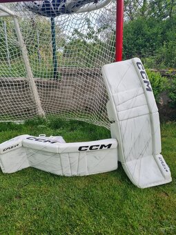 CCM eflex 6 - 2