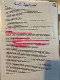 Česky jazyk literatura k maturitě - 2