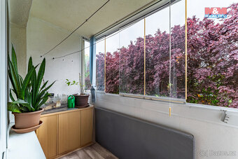 Prodej bytu 3+1, 81 m², Sokolov, ul. Mičurinova - 2