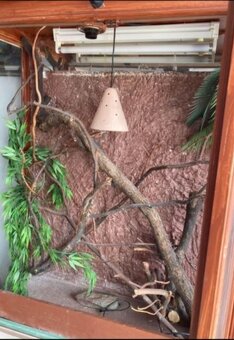 Terarium - 2