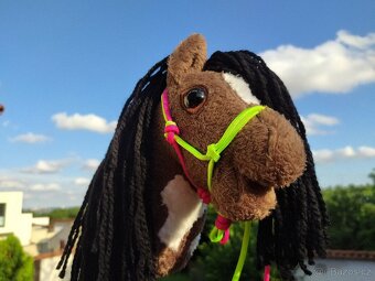 Hobby horse - 2