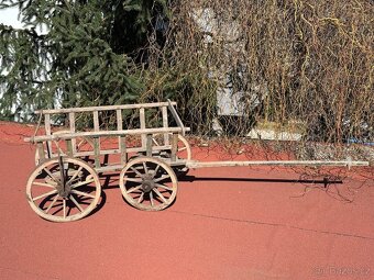 Starý žebřiňák - 2