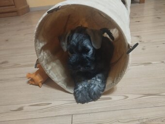 KNÍRAČ MALÝ P+S s PP - 2