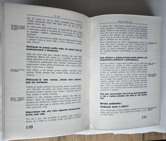 Má cesta k úspěchu – Čajčík, Schellbach - 2