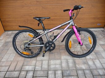 Author Cosmic 20" - 2