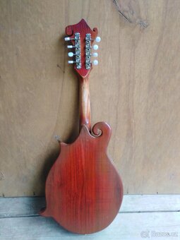 Prodám mandolínu F5 - 2