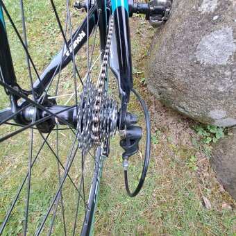 Bianchi - 2