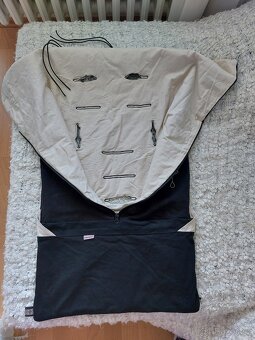 Prodám ROSTOUCÍ CELOROČNÍ FUSAK - 2