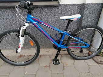Superior racer 24 - 2