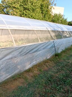 Prodám foliovníky - 2