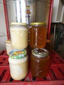 Prodám včelí med - květový i lesní a propolis - 2