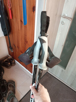 Hole nordic walking 115 cm carbon composite značka Exel - 2
