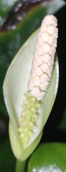 Akvárium 160l - 2