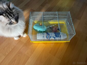 Klec pro malého hlodavce - 2