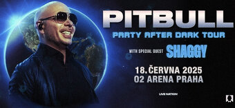 Vstupenka na koncert Pitbulla - Praha O2 - spodní sektor - 2