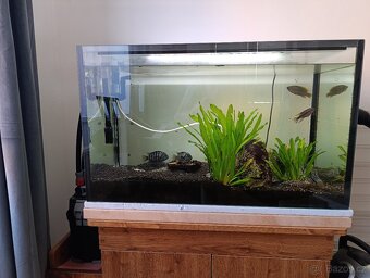 Akvarijní set - 2