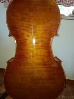 Violoncello - Jana páclová - 2