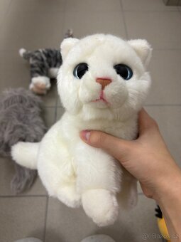 Plyšové kočky - 2