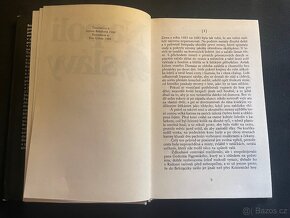 Na poli slávy - Henryk Sienkiewicz - 2