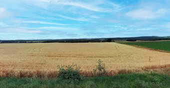 Zemědělská půda, prodej, Hamry, Plumlov, Prostějov - 2