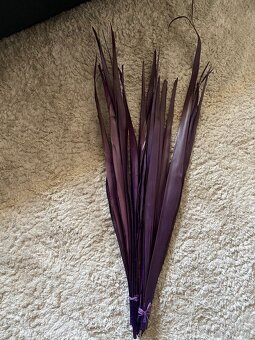 Fialové proutí 80-110 cm, 20 ks - 2