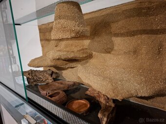 Terárium s 3D stěnou - 2