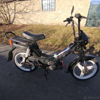 Prodám Manet Korado. - 2