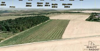 Prodej pozemku se sadem 40 000m 2      Kamenka - okr. Nový J - 2