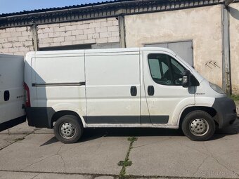 Prodám boxer - 2