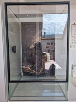 Terarium - 2