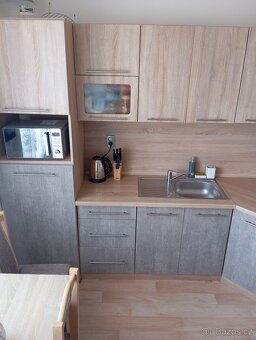 Byt 3+1 s garáží - 2