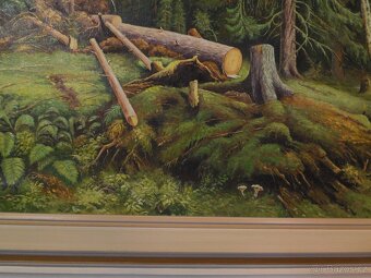 Lesní zákoutí , František Červený - 2