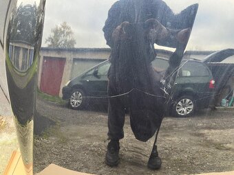 Predni Kapota passat cc - 2