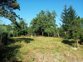 Prodej stavebního pozemku se starším RD Rašovice - 2