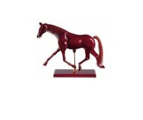 Kůň dřevo pohyblivý model koně dřevo nový - 2