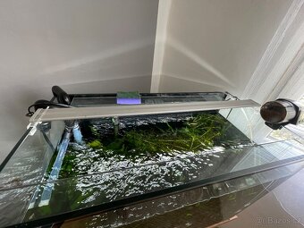 Akvarium - 2