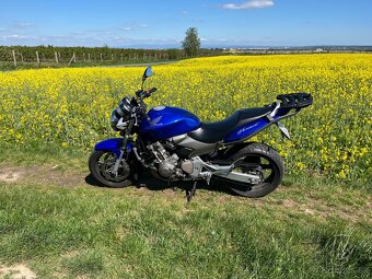 Honda CB600F Hornet - 2