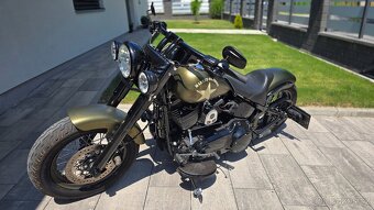 Softail Slim S 2017 SCREAMIN EAGLE 117 - 2