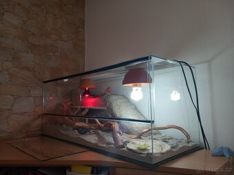 Terárium 100×40×40cm - 2